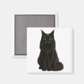 Black Maine Coon Magnet (Voorkant / Achterkant)