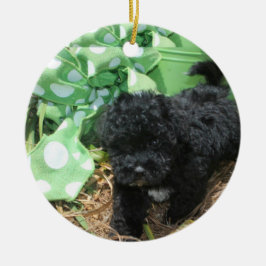 Black Maltipoo Puppy Keramisch Ornament