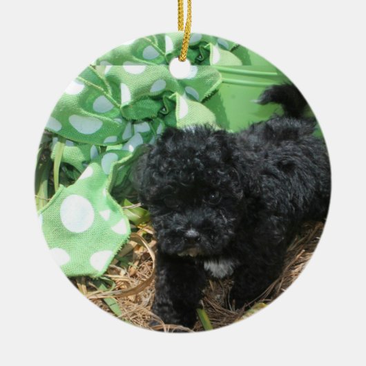 Black Maltipoo Puppy Keramisch Ornament (Voorkant)
