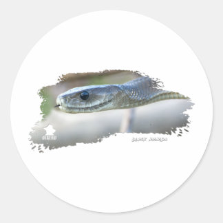 Black Mamba Ronde Sticker