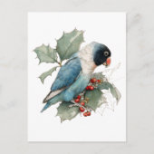Black Masked Lovebird sketch Briefkaart (Voorkant)