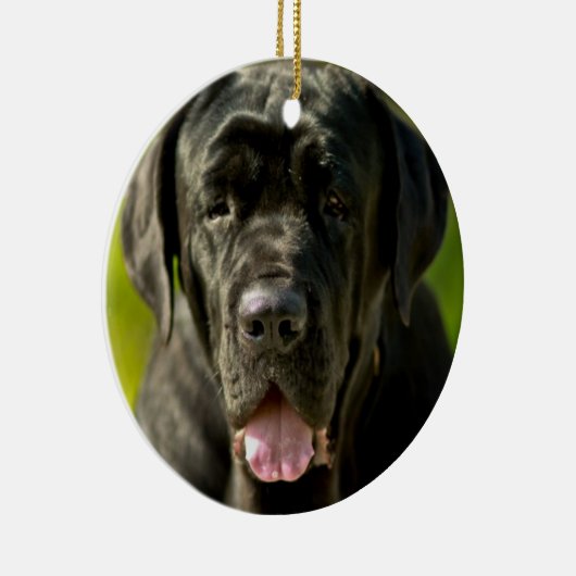 Black Mastiff Ornament (Rechts)