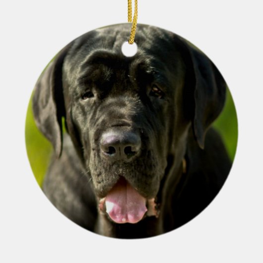 Black Mastiff Ornament (Voorkant)