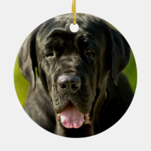 Black Mastiff Ornament (Achterkant)