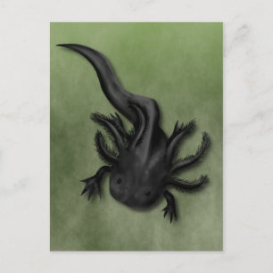 Black Melanoid Axolotl Art Briefkaart