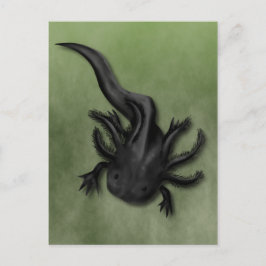 Black Melanoid Axolotl Art Briefkaart