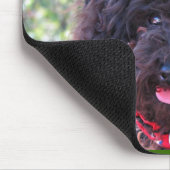 Black Miniature Poodle - JoJo Muismat (Hoek)