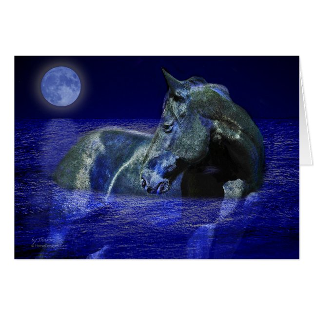 Black Moon Horse (Voorkant Horizontaal)