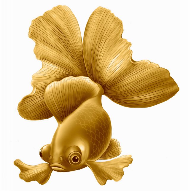 Black Moor Goldfish Ornament Fotobeeldje Ornament (Voorkant)