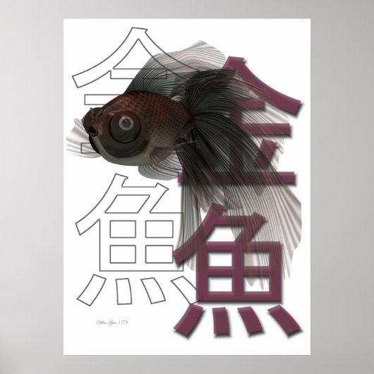 Black Moor Poster (Voorkant)