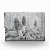 Black Morel Mushroom fotoblok (Voorkant)