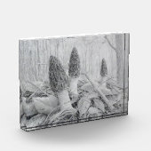 Black Morel Mushroom fotoblok (Links)