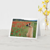 Black Mouth Cur Dog and Poppy Flowers Kaart (Gele Bloem)