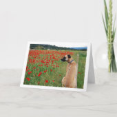 Black Mouth Cur Dog and Poppy Flowers Kaart (Voorkant)