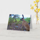 Black Mouth Cur Dog in Forest Kaart (Gele Bloem)