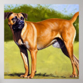 Black Mouth Cur Dog Poster (Voorkant)
