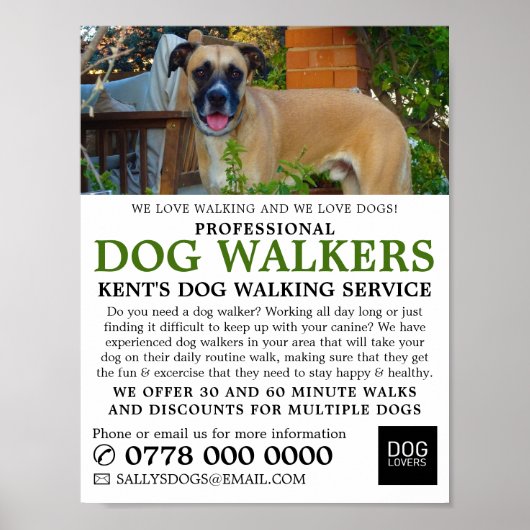Black Mouth Cur, Dog Walker Service Adverteren Poster (Voorkant)