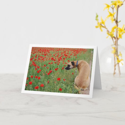 Black Mouth Cur Hond en Poppy Bloemen Kaart (Gele Bloem)