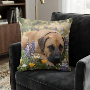 Black Mouth Cur hond Kussen