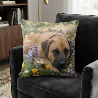Black Mouth Cur hond Kussen