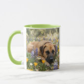Black Mouth Cur hond Mok (Links)