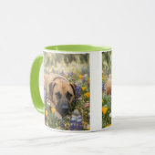 Black Mouth Cur hond Mok (Voorkant links)