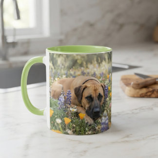 Black Mouth Cur hond Mok