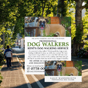 Black Mouth Cur, hondenrollerservice Visitekaartje