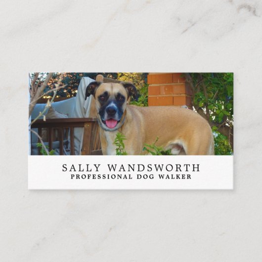 Black Mouth Cur, hondenrollerservice Visitekaartje (Voorkant)