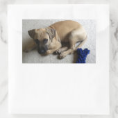 Black-mouth cur puppy met blauwe speelgoed rechthoekige sticker (Tas)