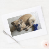 Black-mouth cur puppy met blauwe speelgoed rechthoekige sticker (Envelop)