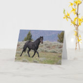 Black Mustang Stallion Folded Wenskaart Kaart (Gele Bloem)