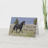 Black Mustang Stallion Folded Wenskaart Kaart (Voorkant)