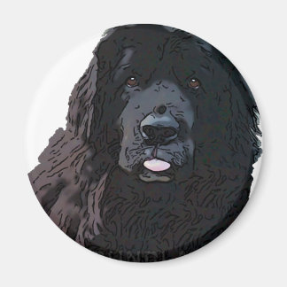 Black Newf Cartoon Magneet
