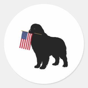 Black Newf Hond Met Vlag Van De Vlag Van De Vlag V Ronde Sticker