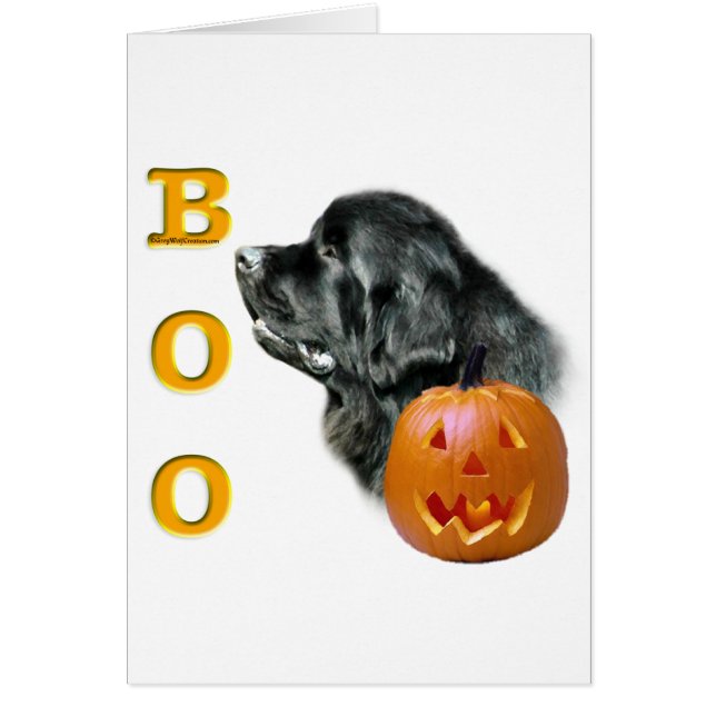 Black Newfoundland Boo (Voorkant)