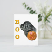 Black Newfoundland Boo Briefkaart (Staand voorkant)