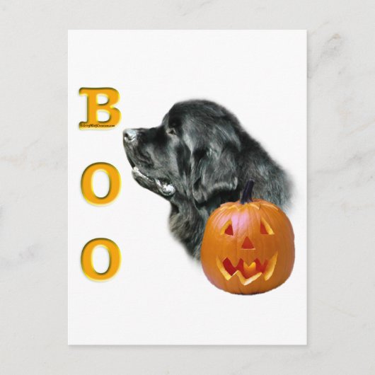 Black Newfoundland Boo Briefkaart (Voorkant)