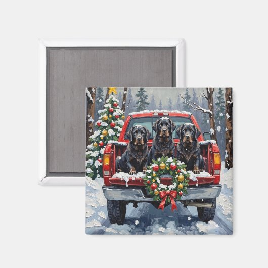 Black Newfoundland Christmas Red Truck Holiday Magneet (Voorkant / Achterkant)