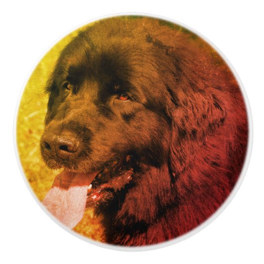 Black Newfoundland Dog Abstract Grunge Keramische Knop (Voorkant)