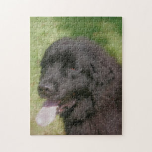Black Newfoundland Dog Art Legpuzzel