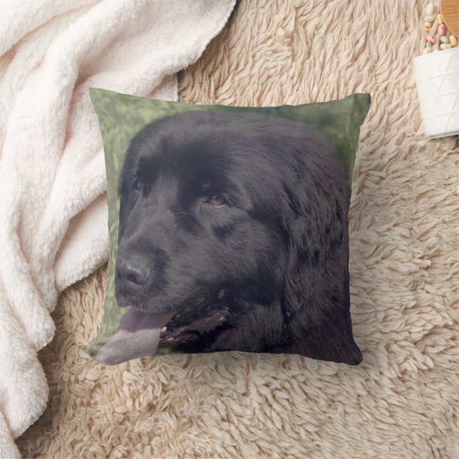 Black Newfoundland Dog Face Kussen (Deken)