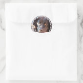 Black Newfoundland Dog Stickers (Tas)