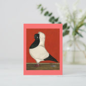 Black Nun Pigeon Briefkaart (Staand voorkant)