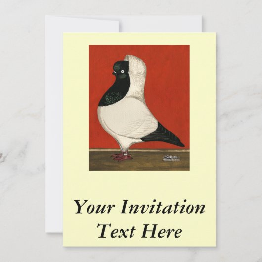 Black Nun Pigeon Kaart (Voorkant)