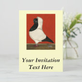 Black Nun Pigeon Kaart (Staand voorkant)