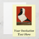 Black Nun Pigeon Kaart (Voorkant / Achterkant)