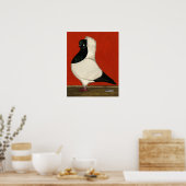 Black Nun Pigeon Poster (Keuken)