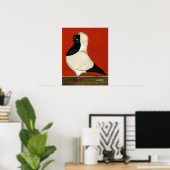 Black Nun Pigeon Poster (Thuiskantoor)