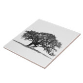 BLACK OAK TREE TEGELTJE (Zijkant)
